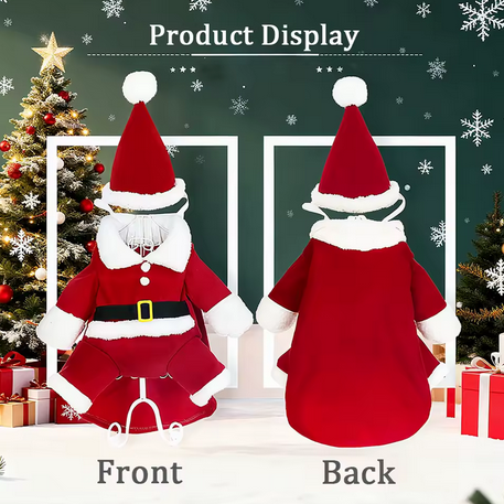 Christmas Pet Costumes Cute Kitten Santa Claus